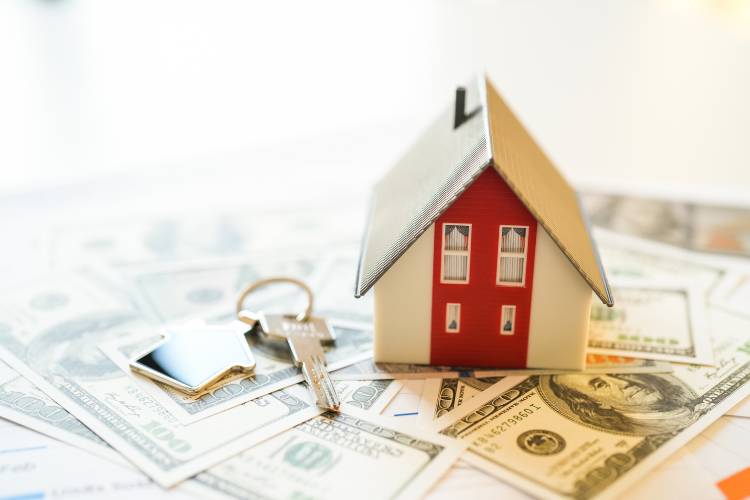 Macomb County Estate Planning Lawyers Since 1980